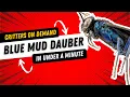 Critters on Demand Blue Mud Dauber in Under a Minute