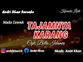 Download Lagu KARAOKE LIRIK VERSI ANDRI KHAN || TAJAMNYA KARANG (NADA CEWEK) CIPT : BELLA ISLAMIA