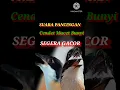 Download Lagu #viral #tranding suara pancingan CENDET MACET BUNYI segera GACOR #cendet #pentet #berandayoutube