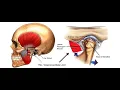 Arthroplasty Temporomandibular joint CPT code - simplify medical coding