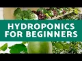 Download Lagu Hydroponics for Beginners | Everything You Need to Know for Successful Hydroponic Growth