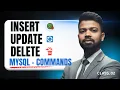 INSERT UPDATE DELETE in SQL Real Database Examples MySQL Class 2