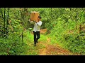 Download Lagu CEO Leaves The City For The Forest | Journey to Restore an Abandoned House Ep1