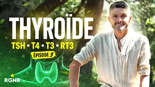 La Thyroïde: TSH, T4, T3, rT3 | Hormones #3