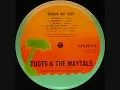 Toots & the Maytals - Never You Change