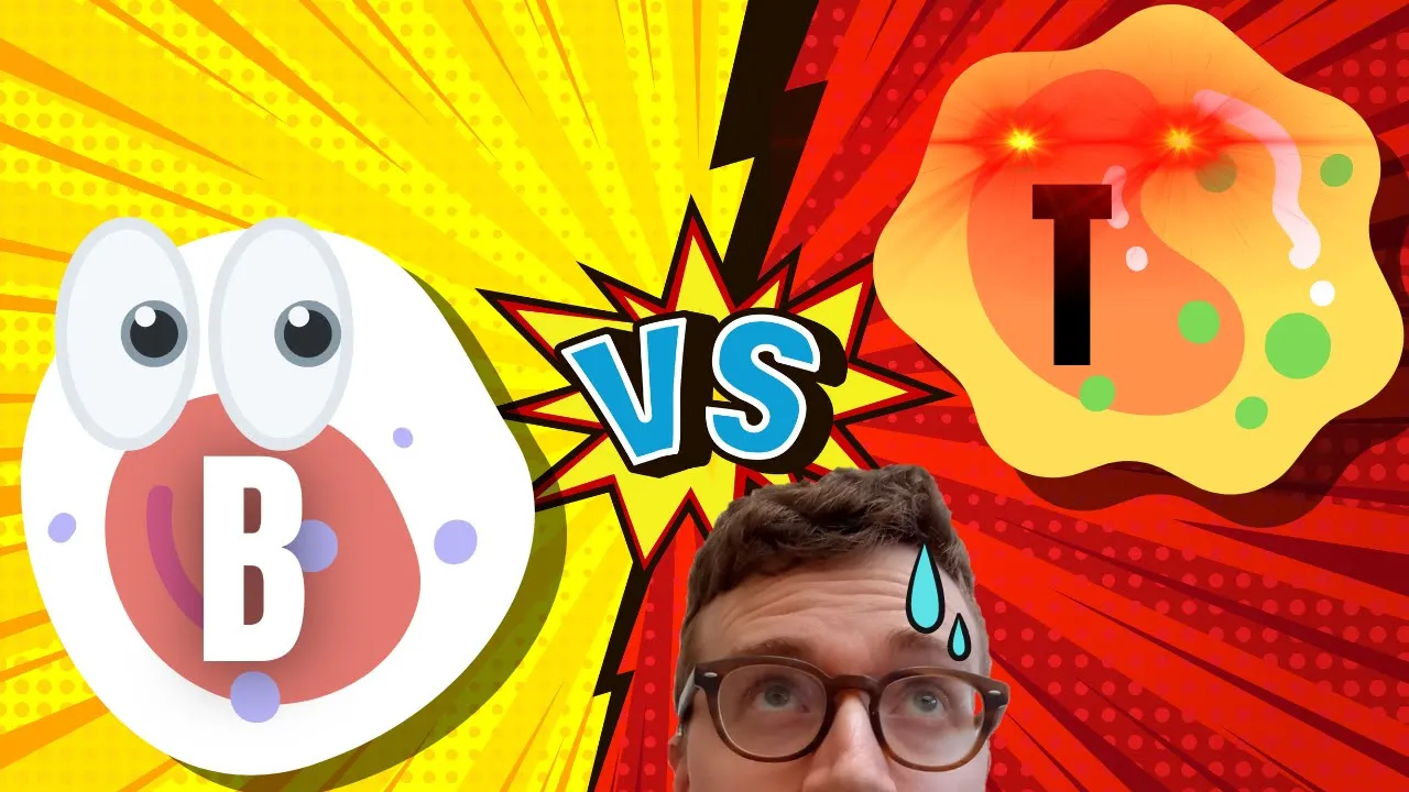 B-CELLS versus T-CELLS (Simply Explained)