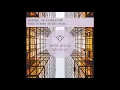 Housenick - Try to Understand (Nando Fortunato Remix)