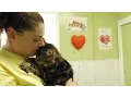 Liberty Humane Society