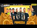 Banda Novo Som - Princesa