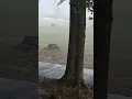 Tornado warning hinesville ga