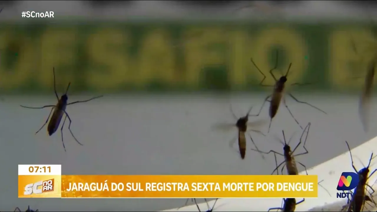 Jaraguá do Sul registra sexta morte por dengue só neste ano