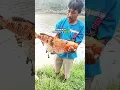 Download Lagu Gegerkan Warga Setempat Setelah Berhasil menagkap Ikan Mas. #fypviralシ
