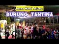 Download Lagu Dansa Wals Terbaru 2023 || BURUNG TANTINA ( Sopo Benu)