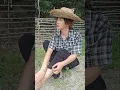 Lagu masteran burung viral kocak bikin ngakak hiburan warga +62 funnyvideos