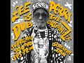 Lee "Scratch" Perry Is The Dub Organizer (New Ark Mix)