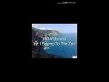 Ingat (lyrics) by : I belong to the zoo
