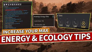 Increase Your Max Energy and Ecology Guide in Black Desert 2026