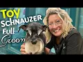 Miniature Schnauzer - Breed Standard TRIM instructional