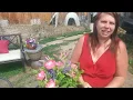 How to plant faux flowers in any pot for your garden May 1 2020