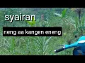 Lagu Syairan santri salafi || neng aa kangen neng