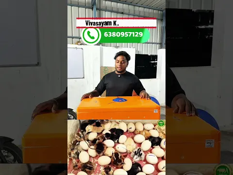 🌾விவசாயம் காப்போம் 💪இங்குபேட்டர் 🐣#Incubator#Reels#Manufacturing#Trending #Agriculture Vivasayam