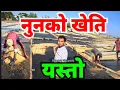 Lagu नुन यसरी बन्छ हेर्नुहोस Salt Farming Video Bhagya Neupane Bangladesh Tour Part-12 