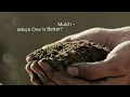Cypress Mulch vs Cedar Mulch - Which One Is Better