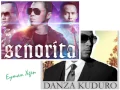 Download Lagu Senorita (ost Abang Long Fadil 2) vs Danza Kuduro (ost Fast Five)