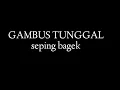 Download Lagu sasak seping bagek | gambus sasak lombok