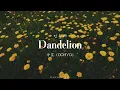 Download Lagu [KR/ID] OOHYO (우효) - 민들레 Dandelion (Lyrics Translation Sub Indo)