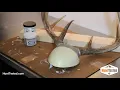 Mounting Antlers in 6 Easy Steps