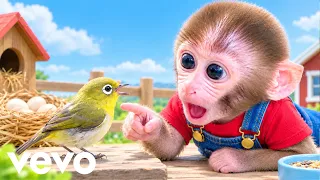 BonBon the Monkey Helps a Baby Bird Get a New Nest! BonBonVEVO