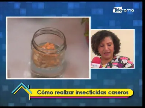 Cómo realizar insecticidas caseros