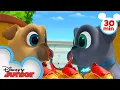Bingo and Rolly Travel Across Europe 30 Minute Compilation Puppy Dog Pals Disney Junior