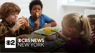 Dietitian shares the key to a healthy lunchbox this school year