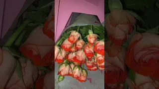 شكرا على الهديه 