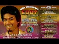 Lagu Eddy Silitonga - Apa Iya
