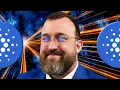 Charles Cardano s Pogun Will Fully Realize The Potential Of Bitcoin DeFi Angry Crypto Reacts