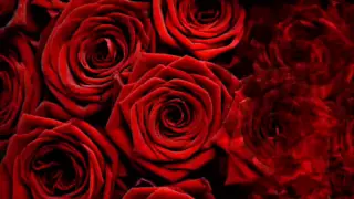 Download Алла Пугачева - Миллион Алых Роз_ Million of Scarlet Roses MP3