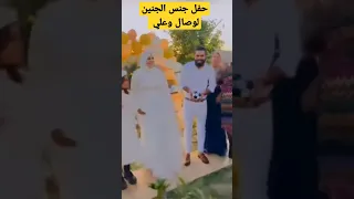 حفل جنس الجنين وصال وعلي 