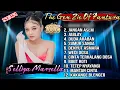Download Lagu SELIYA MARSELLA FULL ALBUM TARLING TERBARU 2025 THE GEN ZIE OF PANTURA