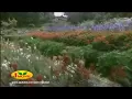 Ponvaana Poongavil ...