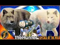 Lagu We Got TWO SUPER RARE WOLVES on the Wolf Grind! | theHunter Call of the Wild
