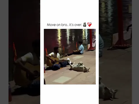 Dogesh bhai ki bi setting chali gayi lagta hai.😂