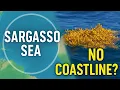 Sargasso Sea The Sea With No Coastline And a Floating Forest