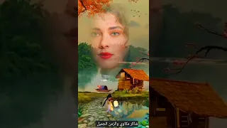 بحر ابوجريشة كفايه بعاد 