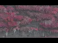Download Lagu Sleep Token - Even in Arcadia whole album looped for 10 hours