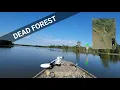 Santee Cooper Lake Tour THE BLOWOUT TO JACKS CREEK