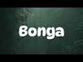 Kabza De small & Mthunzi - Bonga Lyrics Ft MaWhoo