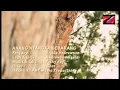 Download Lagu Anang nyangka sebarang...by rickie andrewson
